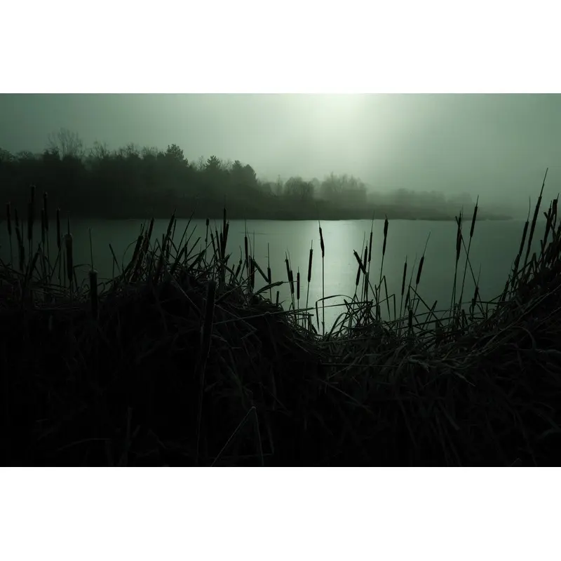 Moody Pond - Utah Lake