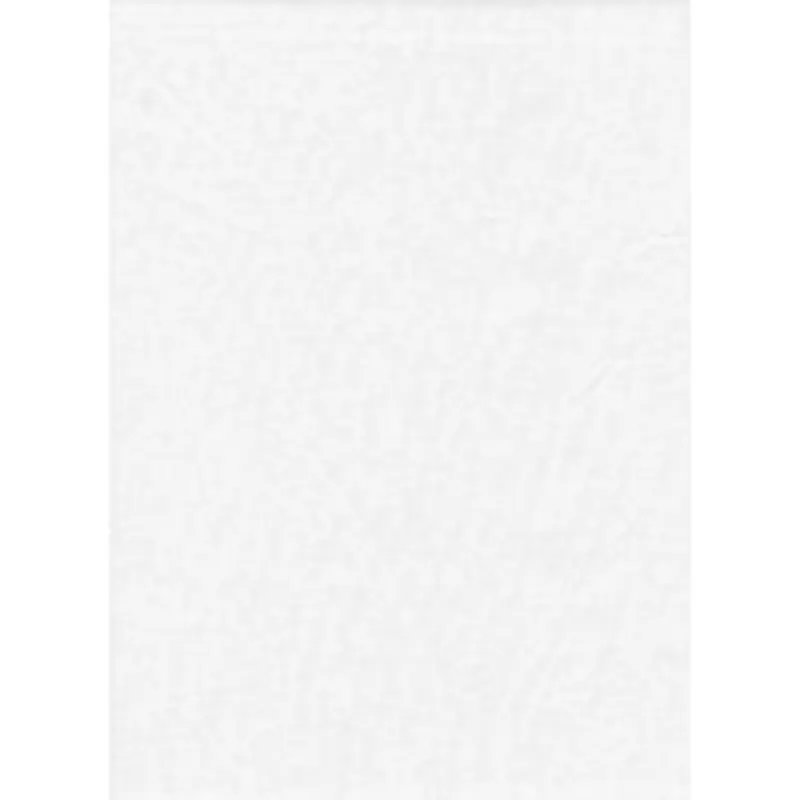 PRO BACKDROP 10x20 - SOLID WHITE (1898)