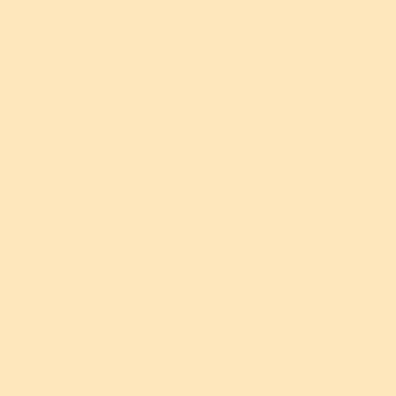 SAVAGE PAPER BACKDROP 53 - CREAM