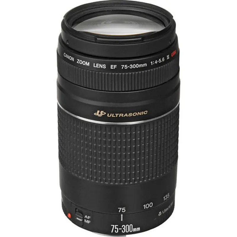 Used Canon 75-300mm f/4-5.6 USM III